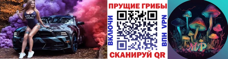 Купить  Березники  Псилоцибиновые грибы GOLDEN TEACHER 